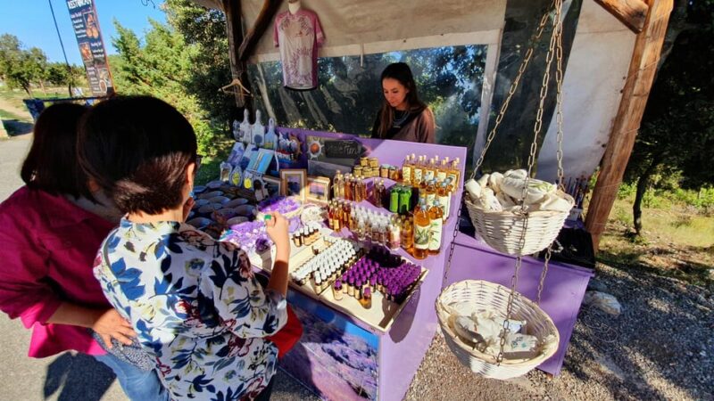 Hvar: Day Trip From Split With Wine Tasting - Transportation and Accessibility