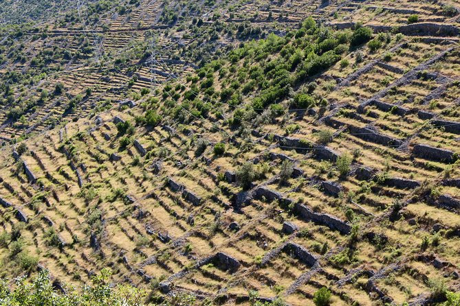Hvar Lavender Small Group Tour - About Your Stay