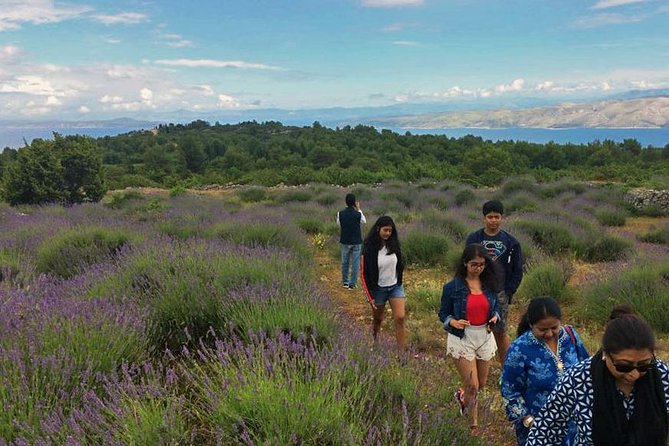 Hvar Lavender Tour - Itinerary Highlights