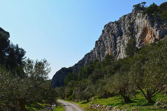 Hvar Lavender Tour - Traveler Reviews