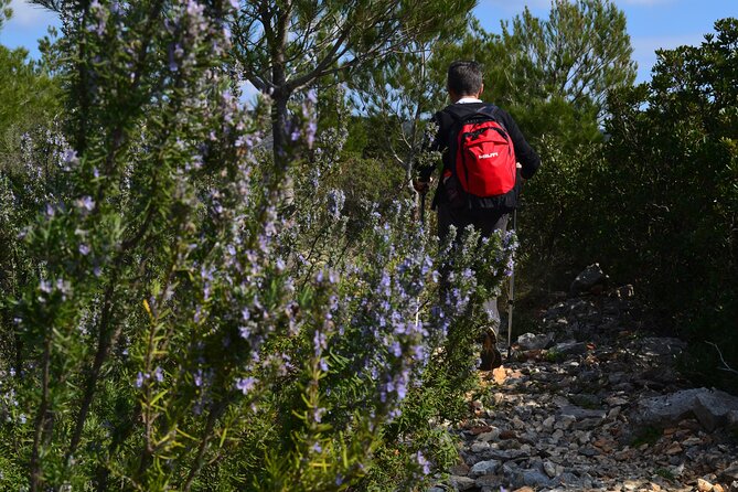 Hvar Lavender Tour - Hvars Lavender Fields