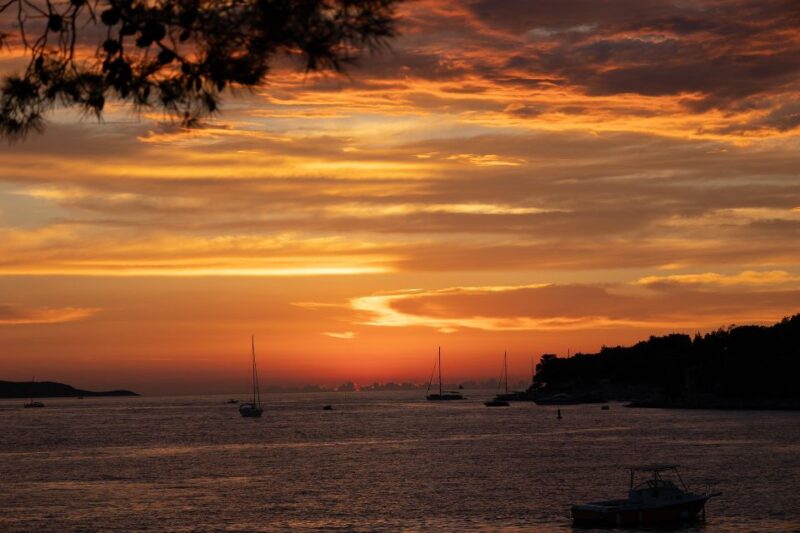 Hvar: Private Old Town Guided Walking Tour - Savoring Local Cuisine