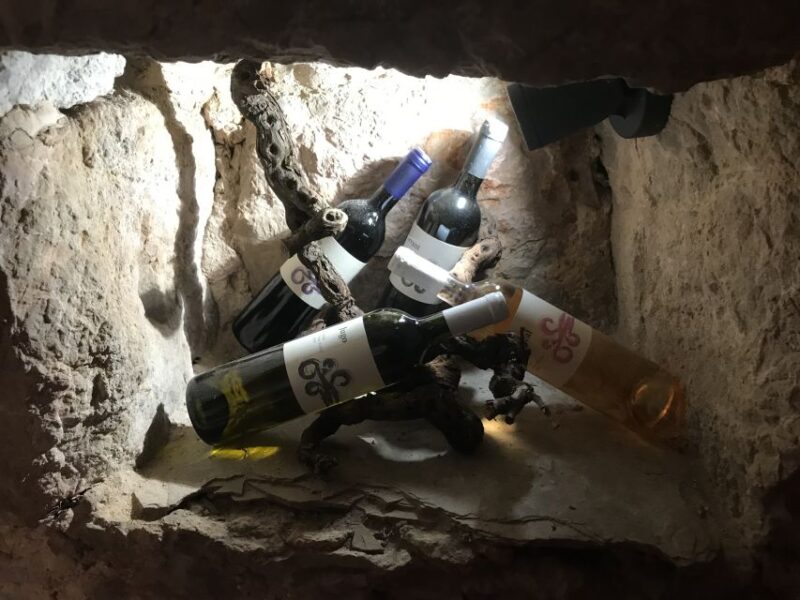 Hvar: Wine Lovers Tour to 3 Wineries With Local Tastings - Important Information