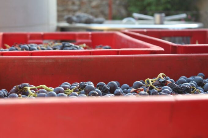 Hvar: Wine Lovers Tour to 3 Wineries With Local Tastings - Pickup Locations
