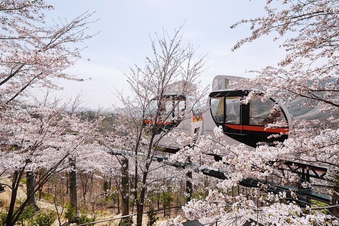 Hwadam Botanic Garden & Nami Island Spring Flowers Day Tour - Meeting and Pickup Details
