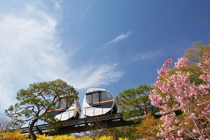 Hwadam Botanic Garden & Nami Island Spring Flowers Day Tour - What to Bring