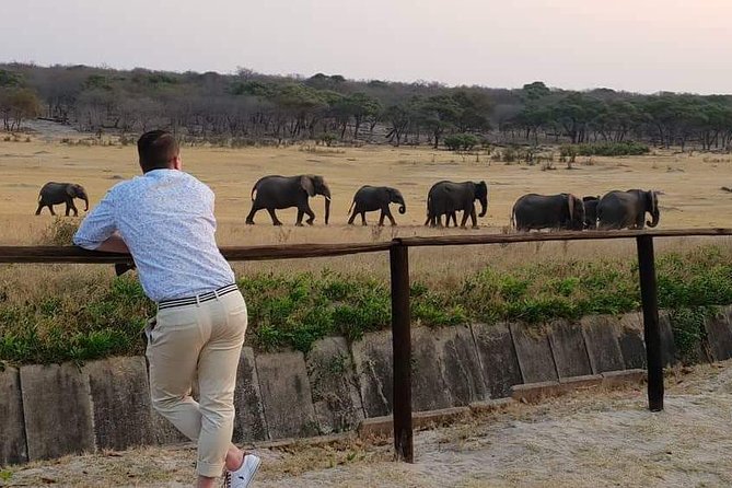 Hwange 3 Day Safari - Inclusions