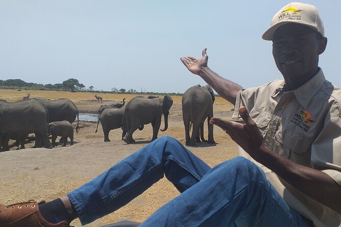 Hwange National Park Full Day Trip - Highlights of Hwange National Park