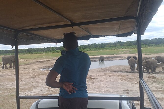 Hwange National Park Full Day Trip - Guides and Wildlife Encounters