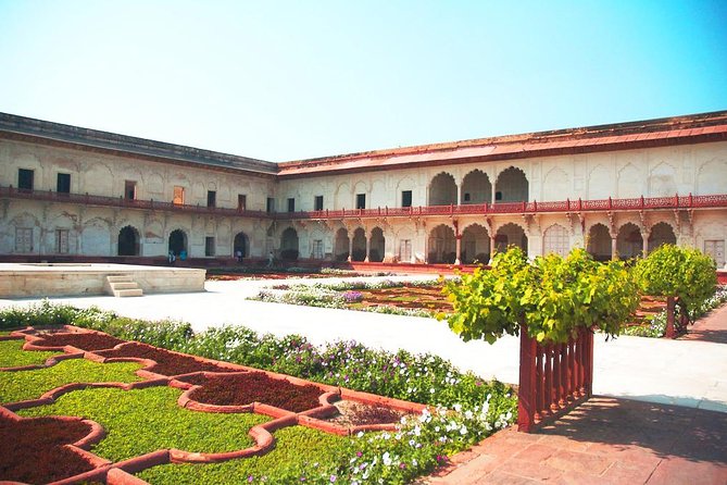 Hyderabad to Taj Mahal and Agra Fort Same Day Tour With Flights - Customer Ratings and Feedback