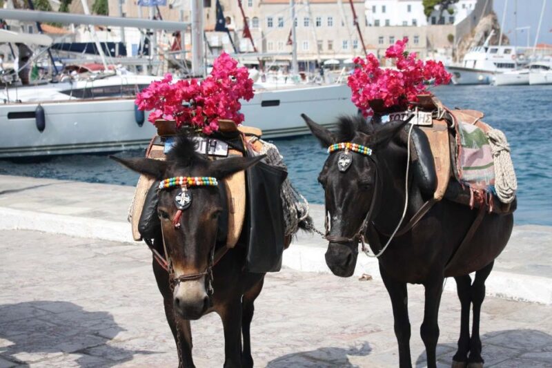 Hydra & Poros: 2 Islands Private Day Tour From Athens - Highlights of Hydra