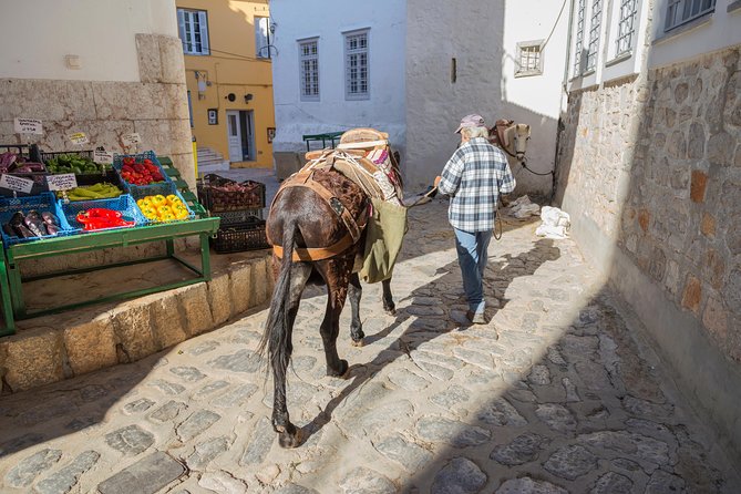 Hydra, Poros and Egina Day Cruise From Athens With Optional VIP Upgrade - Exploring the Capital of Hydra