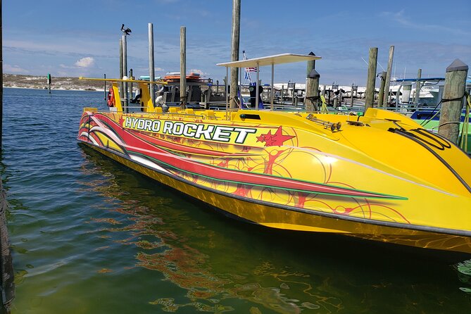 Hydro Rocket Dolphin Sightseeing Boat Tour From Destin - Experience Highlights