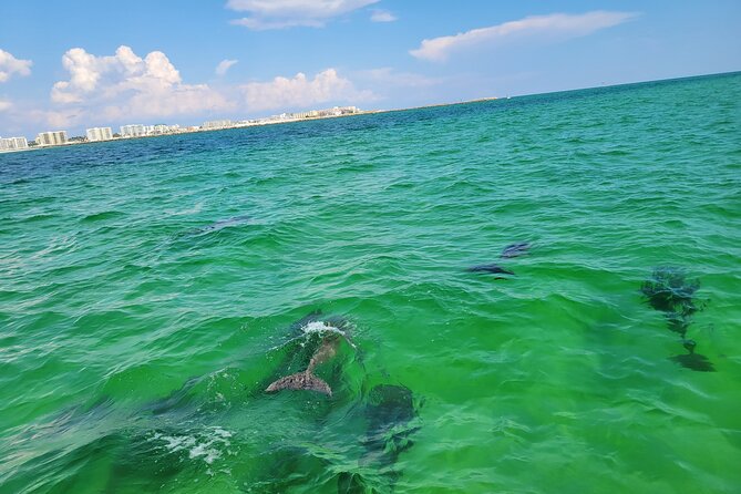 Hydro Rocket Dolphin Sightseeing Boat Tour From Destin - Getting There