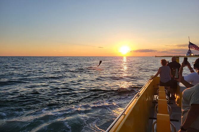 Hydro Rocket Dolphin Sightseeing Boat Tour From Destin - What to Expect