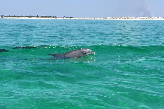 Hydrojet Dolphin Cruise in Destin FL - Hydrojet Boat Exploration