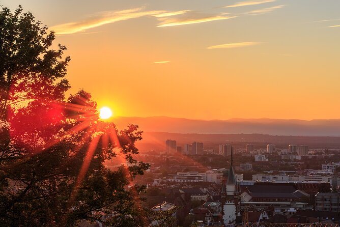 I Came, I Saw, I Drank Wine - the Freiburg Wine Hike - Exploring Freiburgs Schlossberg