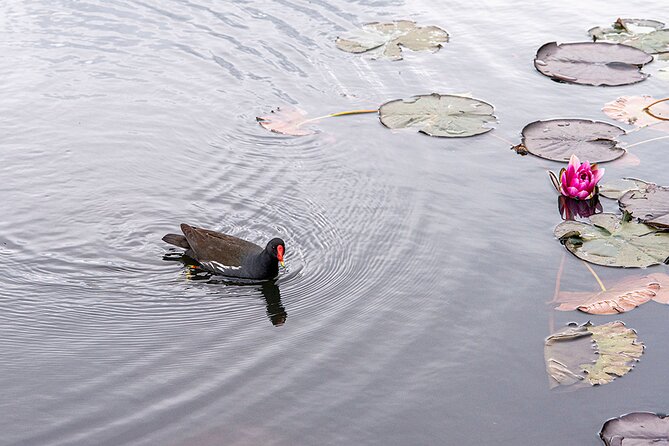 I LOV IT - Tivoli Park Tour - Planning Additional Slovenian Activities