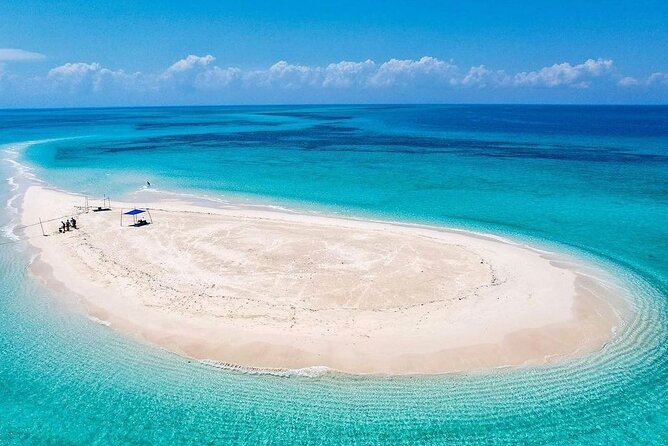 I Love Sandbank & Prison Island (Changuu Island) - Traveler Accessibility Considerations
