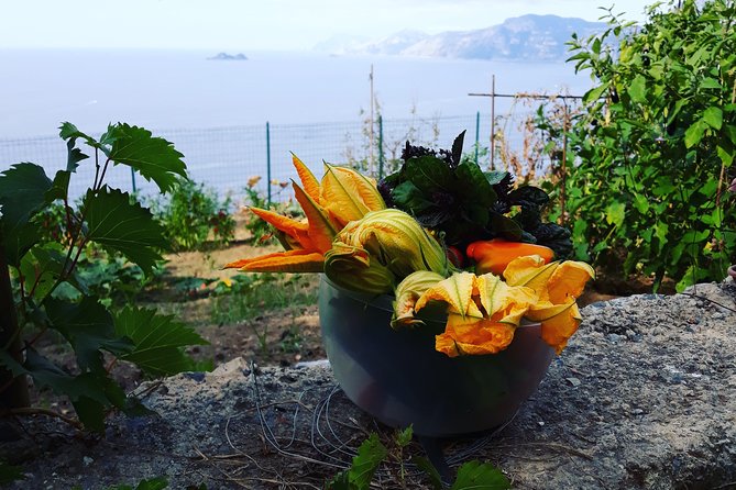 I Offer Cooking Lesson of Amalfi Tradition - Booking Information