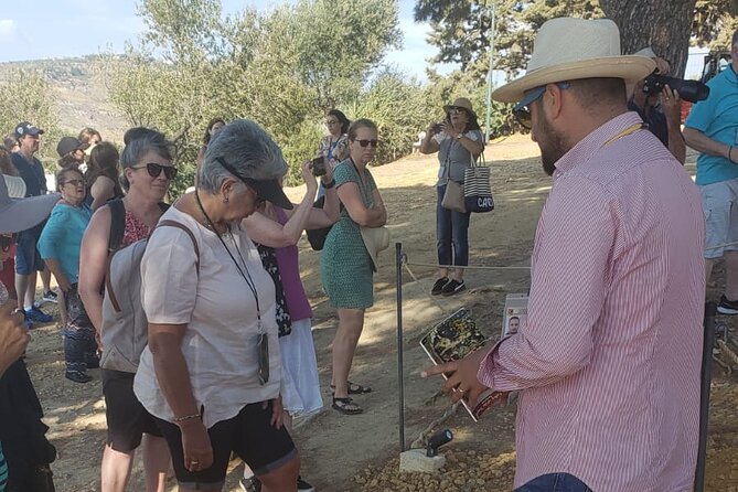 I Tour With the Archaeologist: Group Visit at Sunset to the Valley of the Temples - Inclusions and Accessibility
