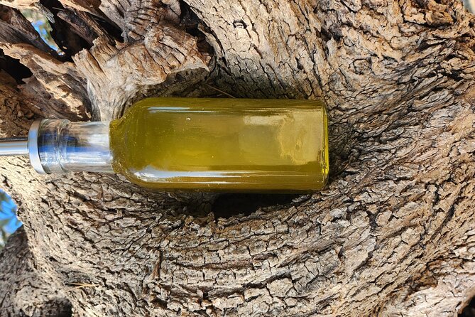 I Wil Explain You Everything About Our Extravirgin Olive Oil - Storing Extravirgin Olive Oil