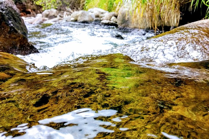 Iao Needle Gardens Streams Rainforest Walk & Bg Green Seaturtles - Highlights of the Tour