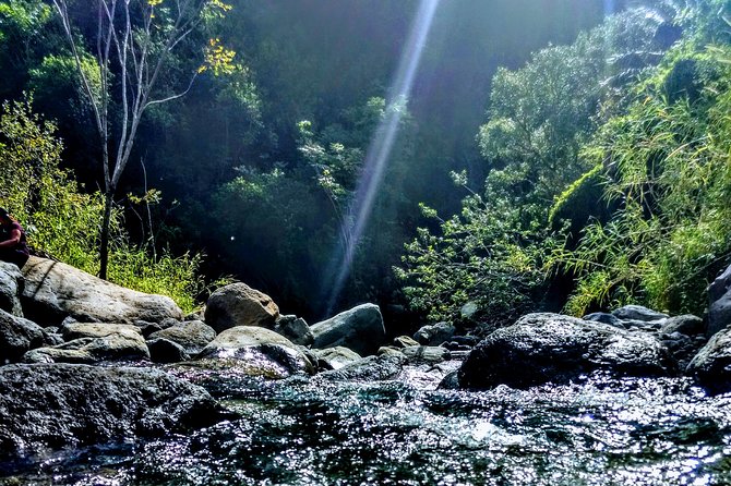 Iao Needle Gardens Streams Rainforest Walk & Bg Green Seaturtles - Inclusions and Cancellation Policy