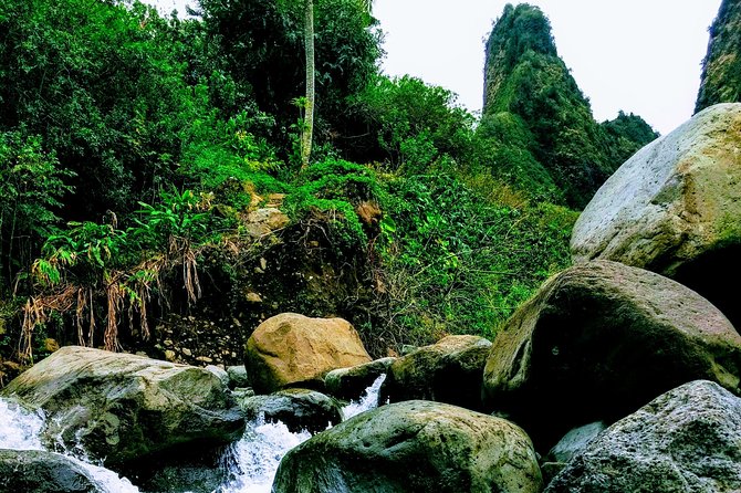 Iao Needle Gardens Streams Rainforest Walk & Bg Green Seaturtles - Additional Information
