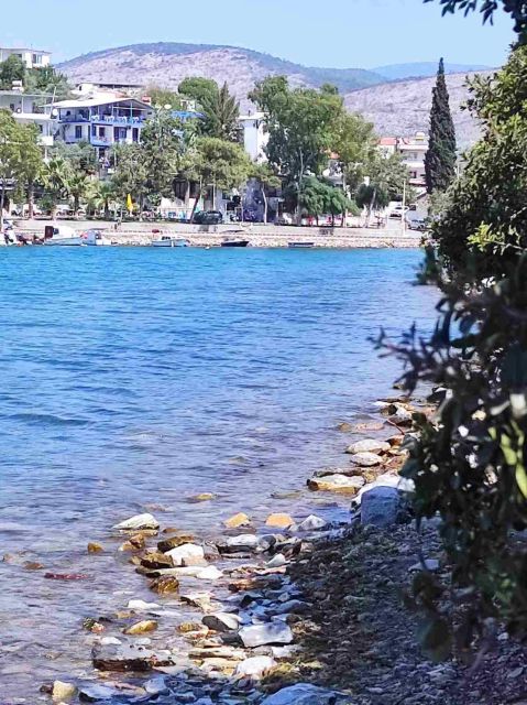 Iasos & Ancient Fish Market Tour - Pricing and Booking