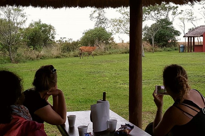 Ibera Safari - Inclusions and Exclusions