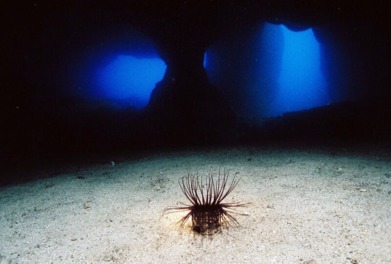 Ibiza: 3.5-Day PADI Open Water Dive Course - Certification Earned