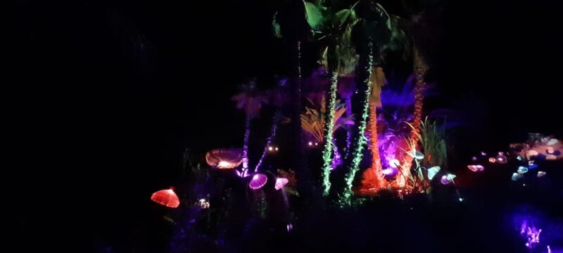 IBIZA: Astro Magic Lights at Bibo Park - Thematic Elements Explored