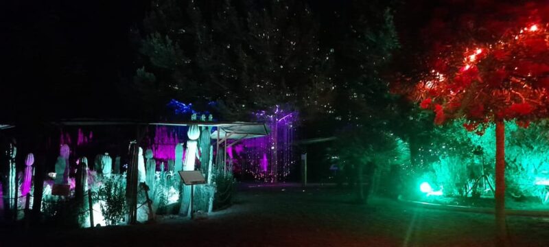 IBIZA: Astro Magic Lights at Bibo Park - Visitor Information and Booking