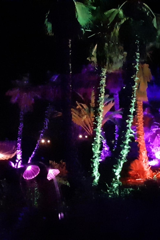 IBIZA: Astro Magic Lights at Bibo Park - Frequently Asked Questions