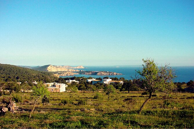 Ibiza Beaches and Villages Private Tour - Tour Experience Highlights