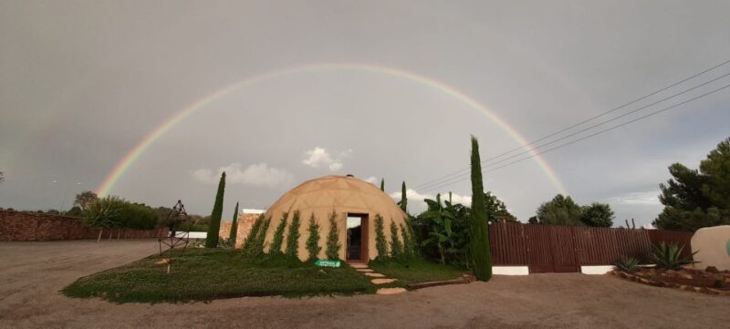 Ibiza: BIBO PARK Ibiza Botanical Biotechnological - Aromatic, Culinary, and Medicinal Plants