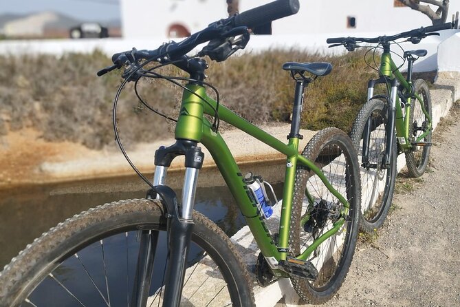 Ibiza: Bicycle Excursion in Las Salinas Natural Park - Discovering Unique Flora and Fauna