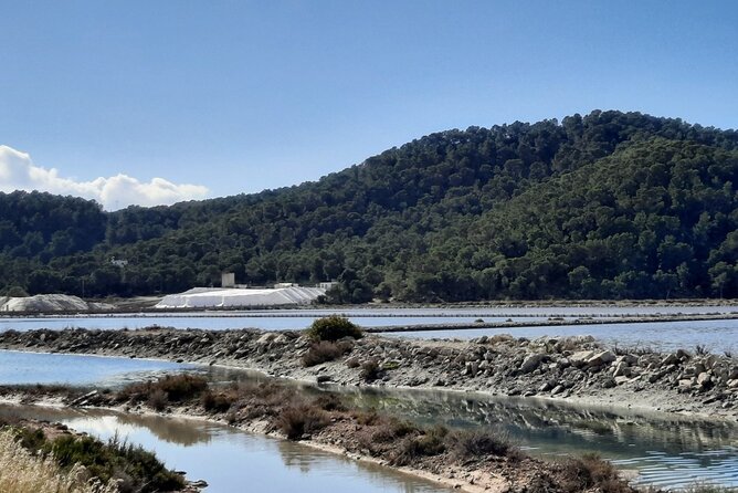 Ibiza: Bicycle Excursion in Las Salinas Natural Park - Experiencing the Local Culture