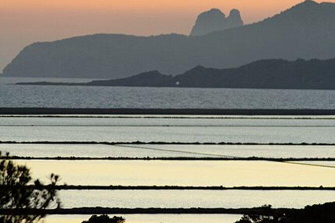 Ibiza: Bicycle Excursion in Las Salinas Natural Park - Memorable Highlights of the Trip