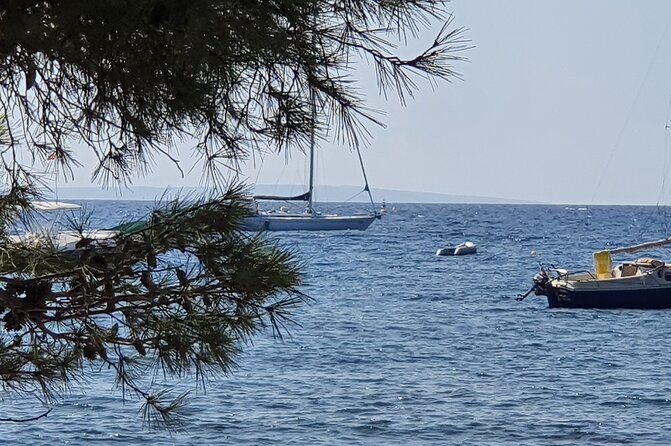 Ibiza Boat Trip to Formentera | Full-Day Experience - Additional Considerations