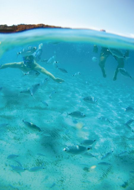 Ibiza: Classic Full or Half-Day Boat Charter - Visit Secluded Beaches