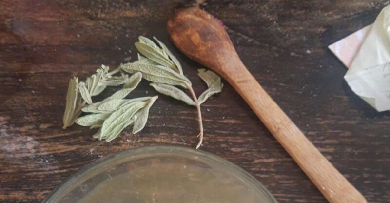 IBIZA : DIY Regenerating & Anti-Red Cream From IBIZA Plants - Manufacturing Process and Purity