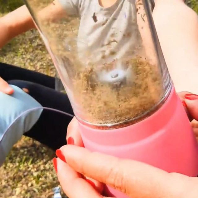 IBIZA : DIY Regenerating & Anti-Red Cream From IBIZA Plants - Snorkeling for Beginners and Professionals