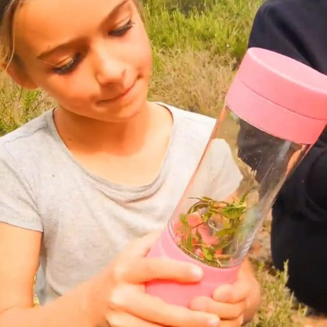 IBIZA : DIY Regenerating & Anti-Red Cream From IBIZA Plants - Snorkeling Equipment and Inclusions