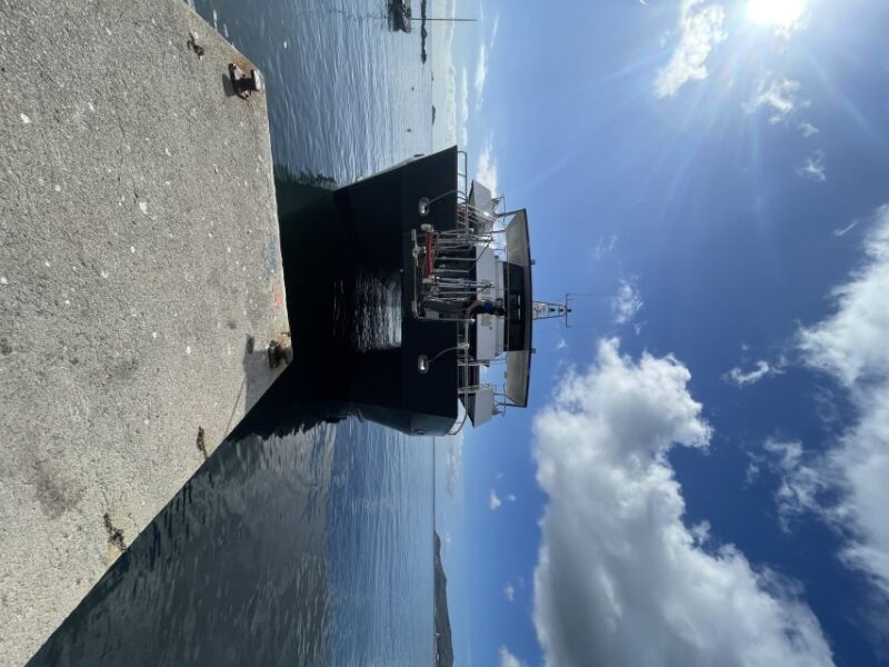 Ibiza: Figueretas Round-Trip Transfer to Formentera - Experience Highlights