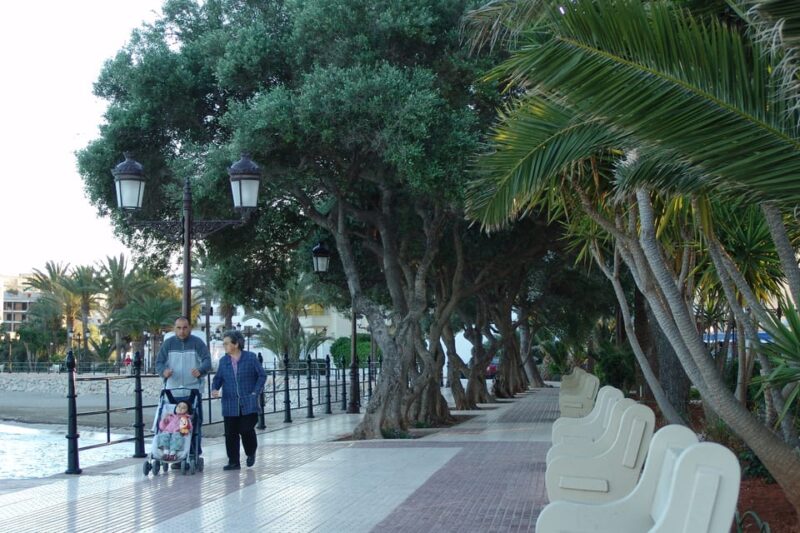 Ibiza: Full-Day Excursion and Visit to a Hippy Market - Language and Participants