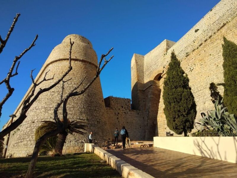 IBIZA HIGHLIGHTS Tour: From Unesco Heritage to Best Beaches - Key Points