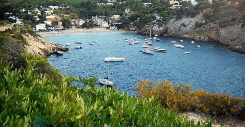 Ibiza: Land & Sea (Buggy+Paddle Surf) - Activity Overview