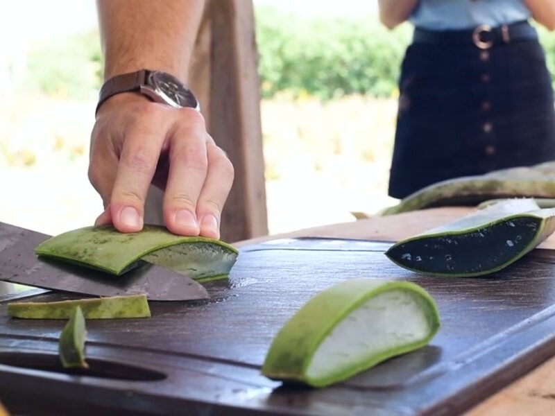 IBIZA : MADE in IBIZA PRODUCTS (Food and Drink Tour) - Tour Highlights Overview